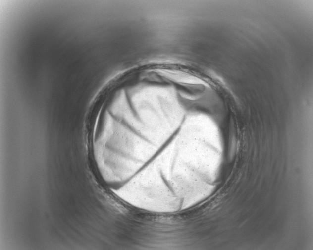 X0000070191408200606232001