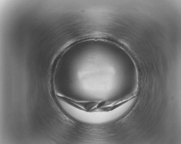 X0000070191410200606232001