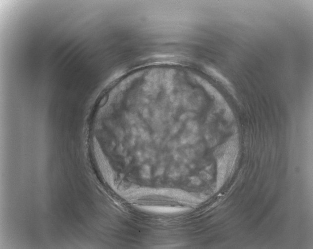 X0000070191411200606232001