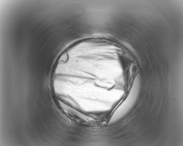 X0000070191412200606232001