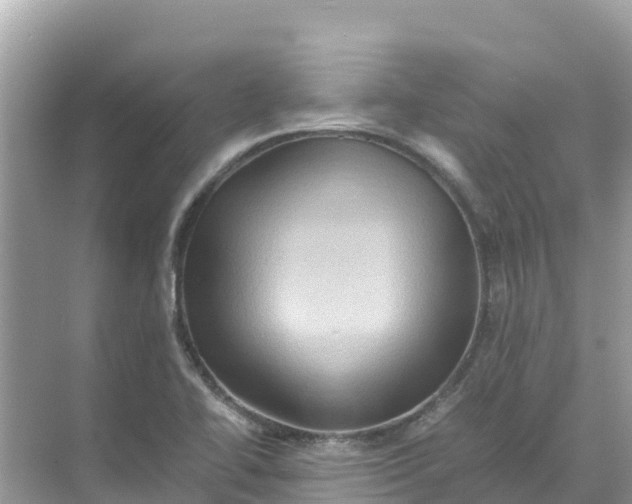 X0000070191414200606232001