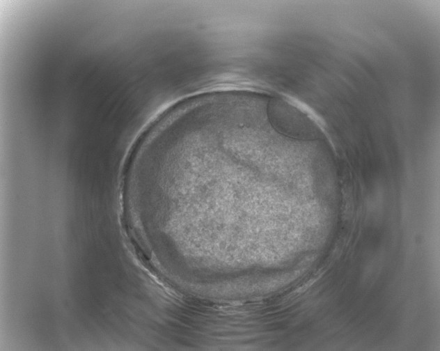 X0000070191415200606232001