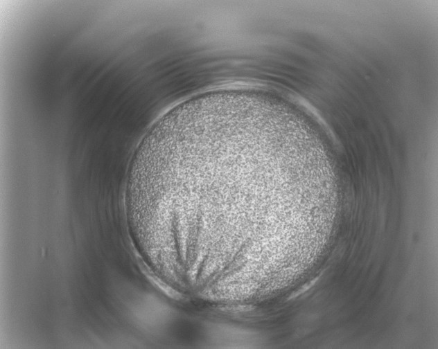 X0000070191417200606232001