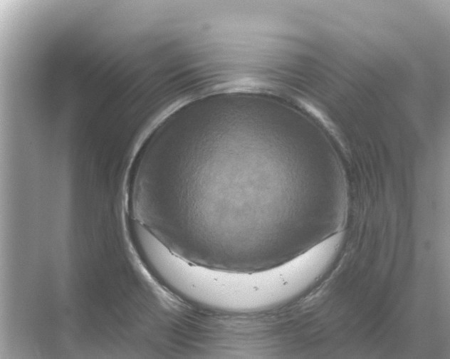 X0000070191418200606232001