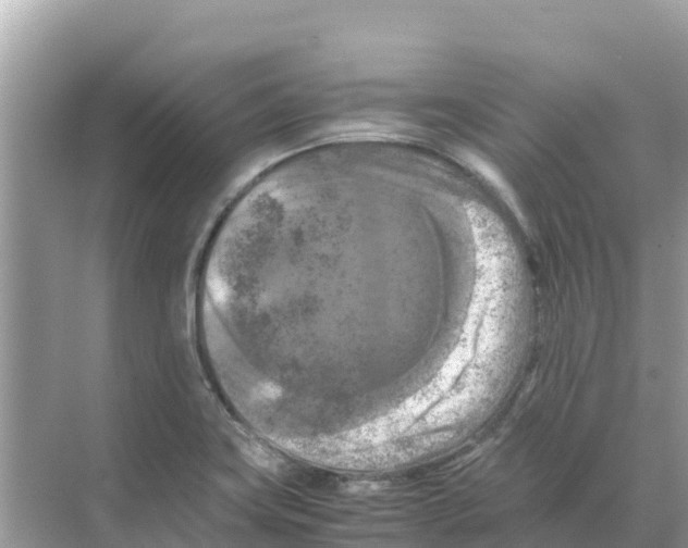 X0000070191419200606232001