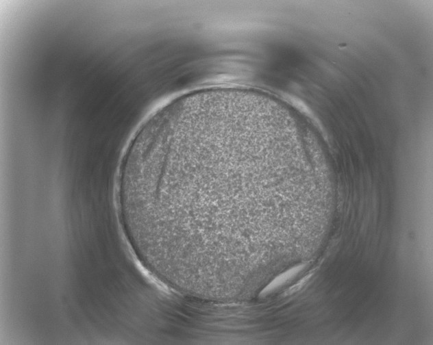 X0000070191421200606232001