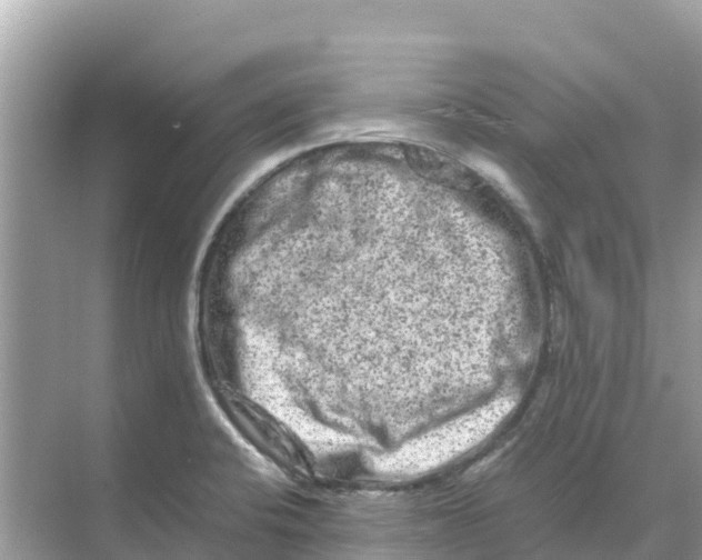 X0000070191424200606232001