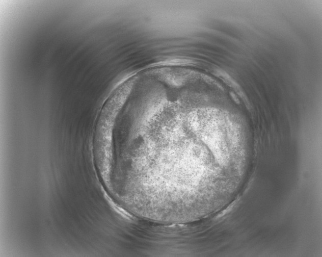 X0000070191425200606232001