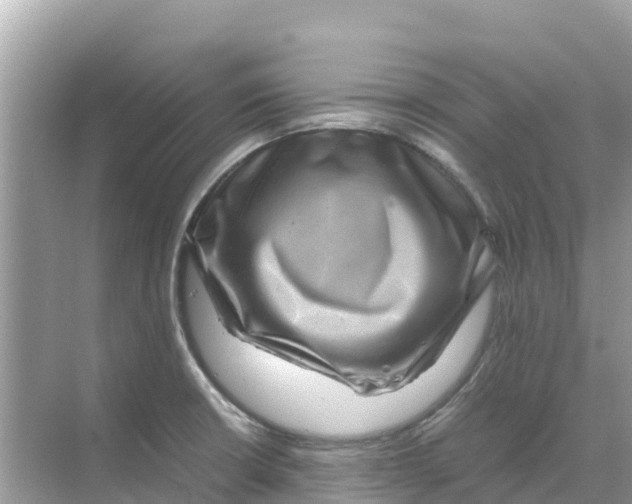 X0000070191426200606232001