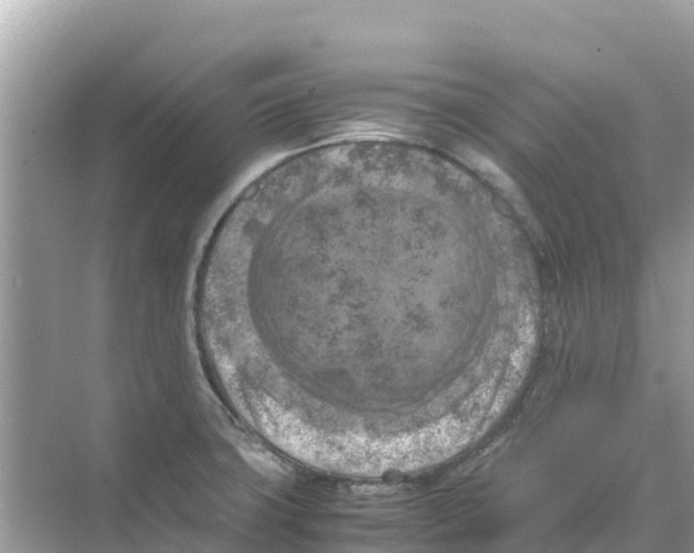 X0000070191427200606232001