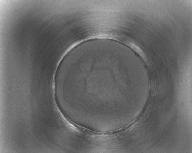 X0000070191428200606232001