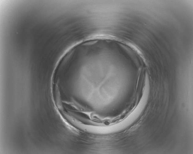 X0000070191430200606232001