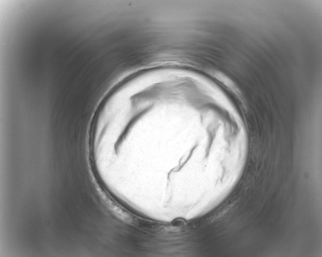 X0000070191431200606232001