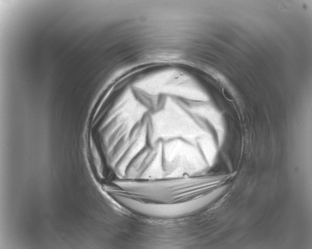 X0000070191432200606232001