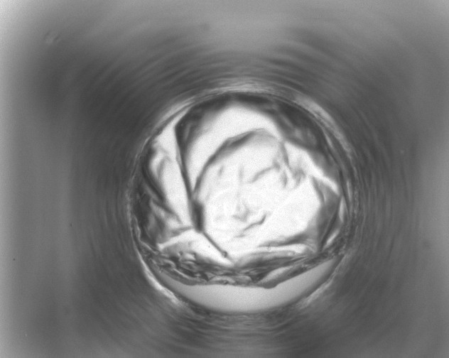 X0000070191433200606232001