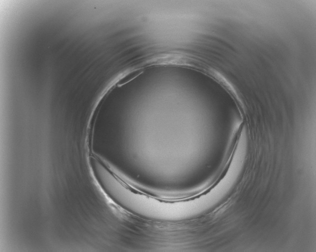 X0000070191434200606232001