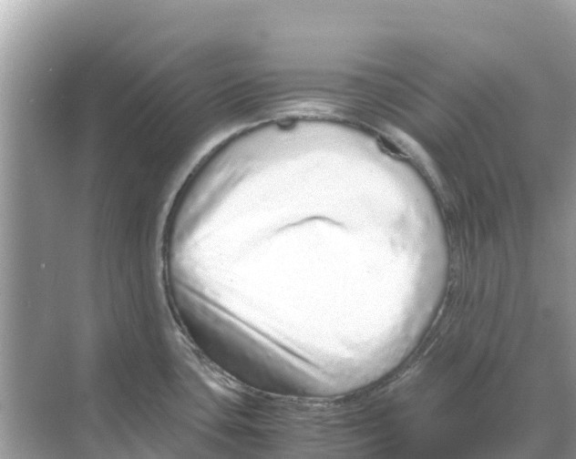 X0000070191435200606232001