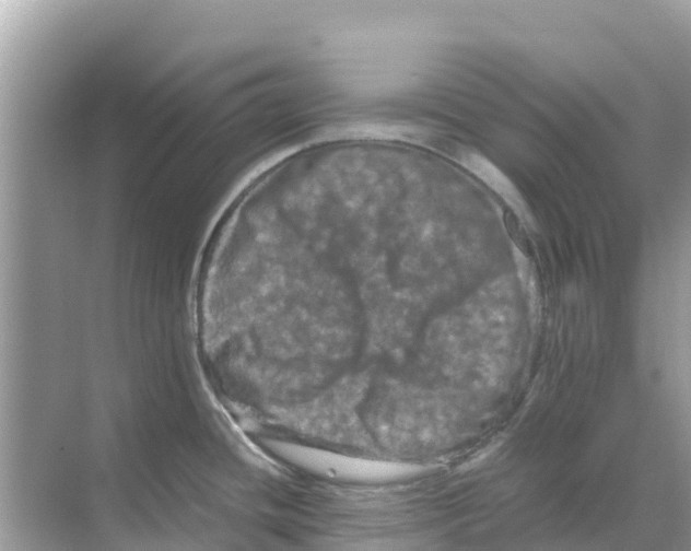 X0000070191436200606232001