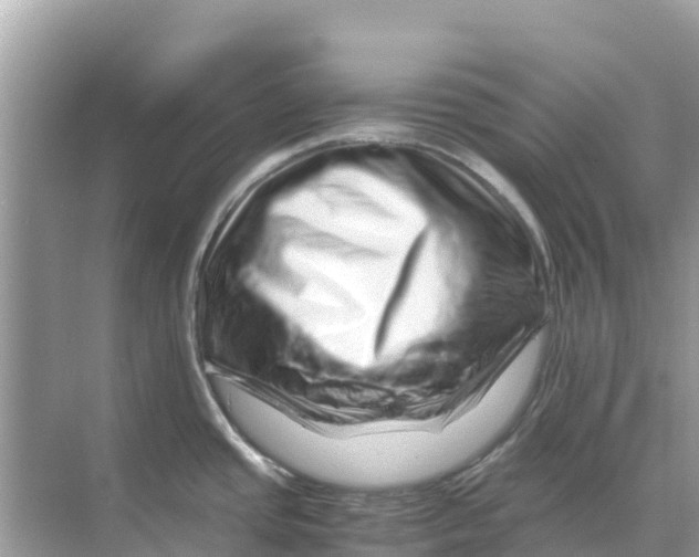 X0000070191437200606232001