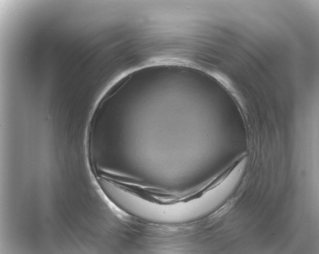 X0000070191438200606232001