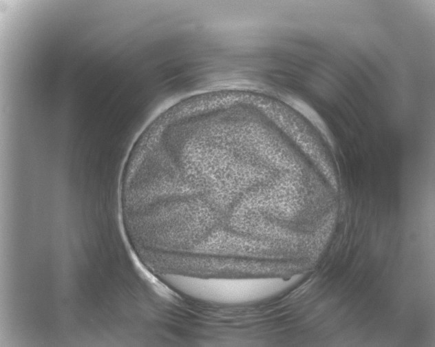 X0000070191439200606232001