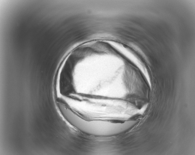 X0000070191440200606232001