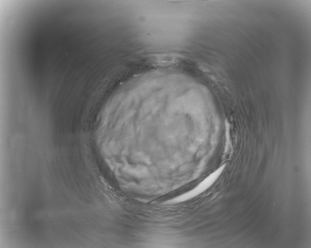 X0000070191441200606232000