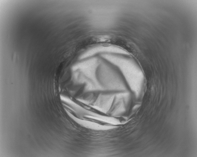 X0000070191442200606232000