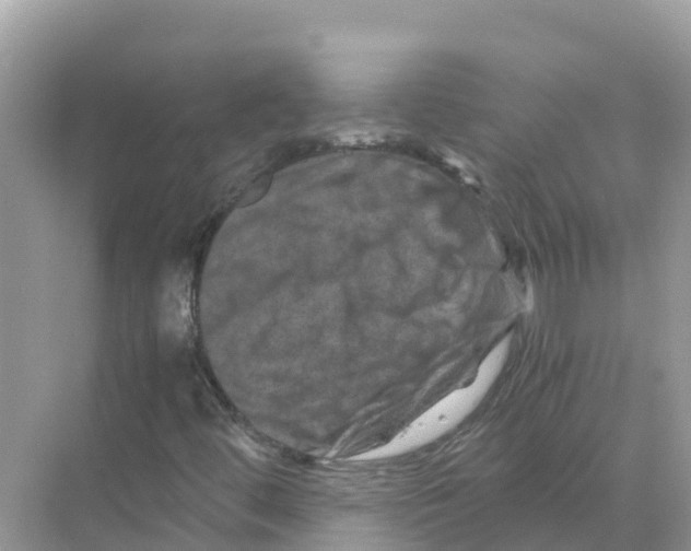 X0000070191444200606232000