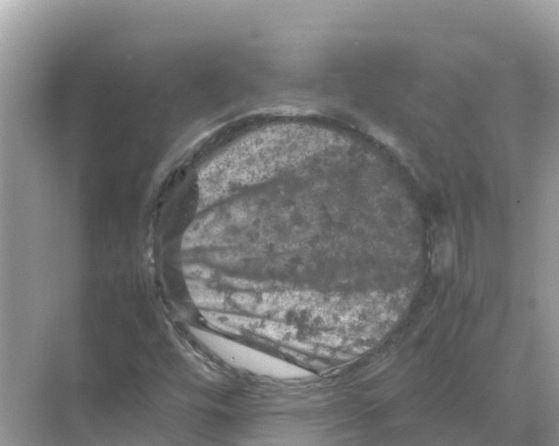 X0000070191448200606232000