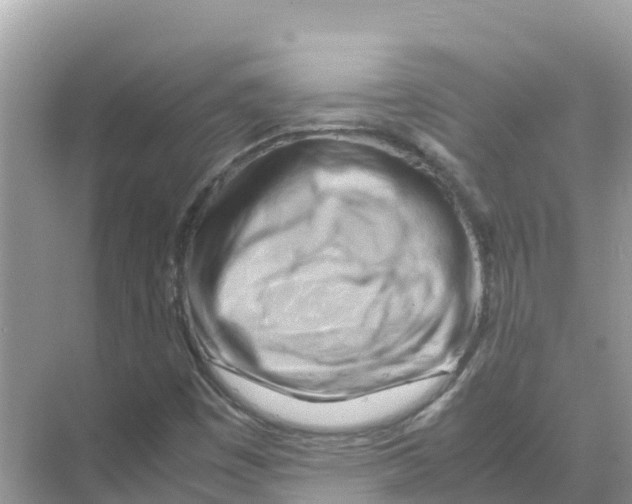 X0000070191449200606232000