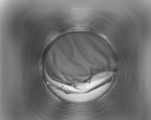 X0000070191450200606232000