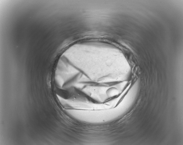 X0000070191451200606232000