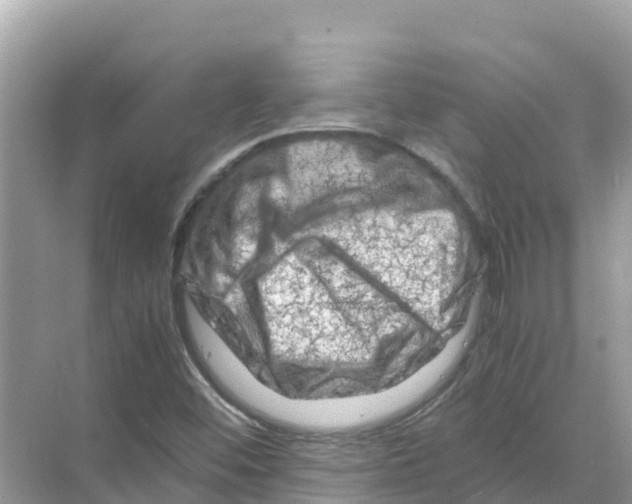 X0000070191452200606232000