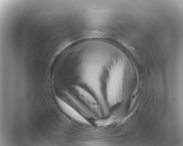 X0000070191453200606232000