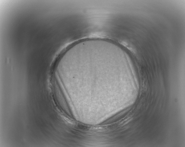 X0000070191454200606232000