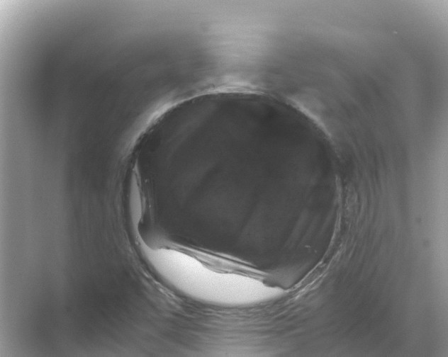 X0000070191455200606232000