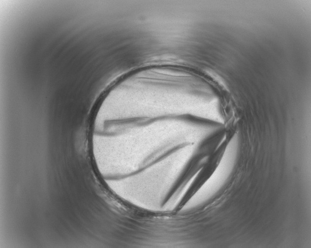 X0000070191458200606232000