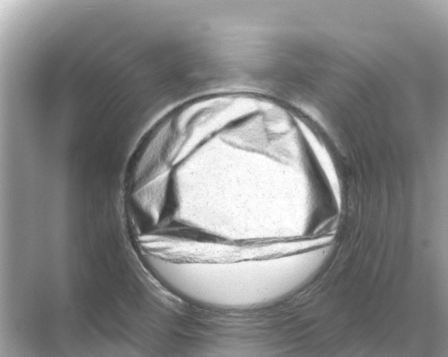 X0000070191460200606232000