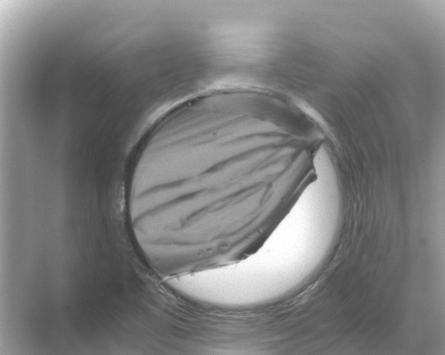 X0000070191461200606232000