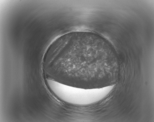 X0000070191463200606232000