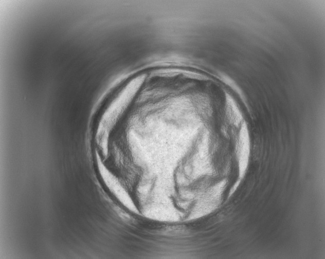 X0000070191464200606232000