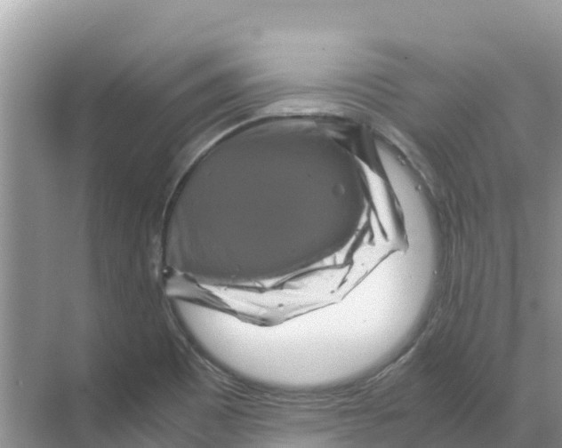 X0000070191465200606232000