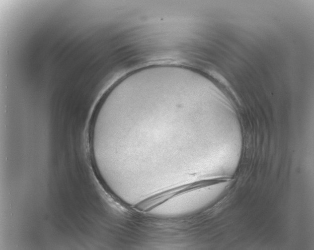 X0000070191466200606232000