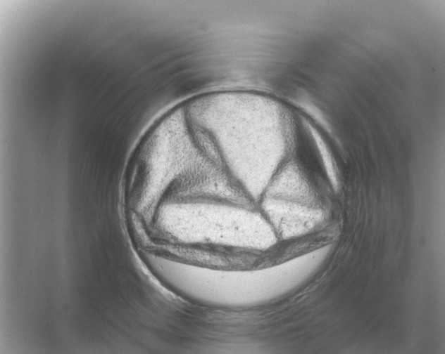 X0000070191468200606232000