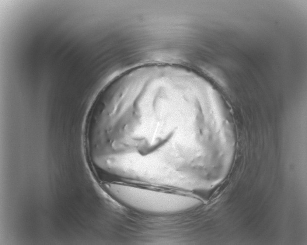 X0000070191471200606232000