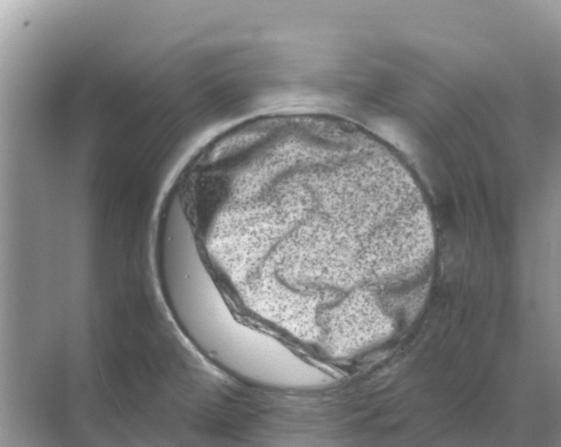 X0000070191472200606232000