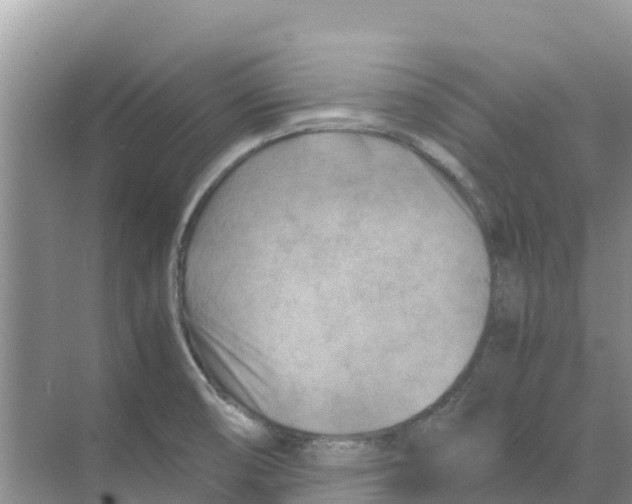 X0000070191474200606232000