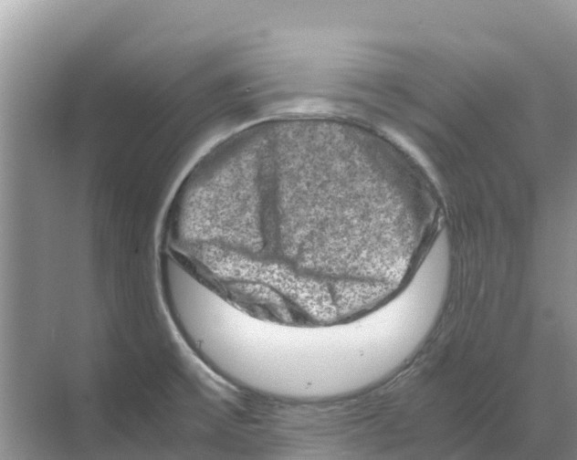 X0000070191475200606232000