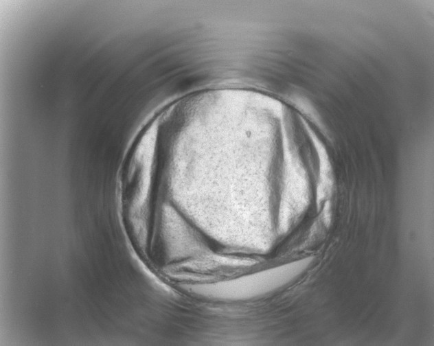 X0000070191476200606232000